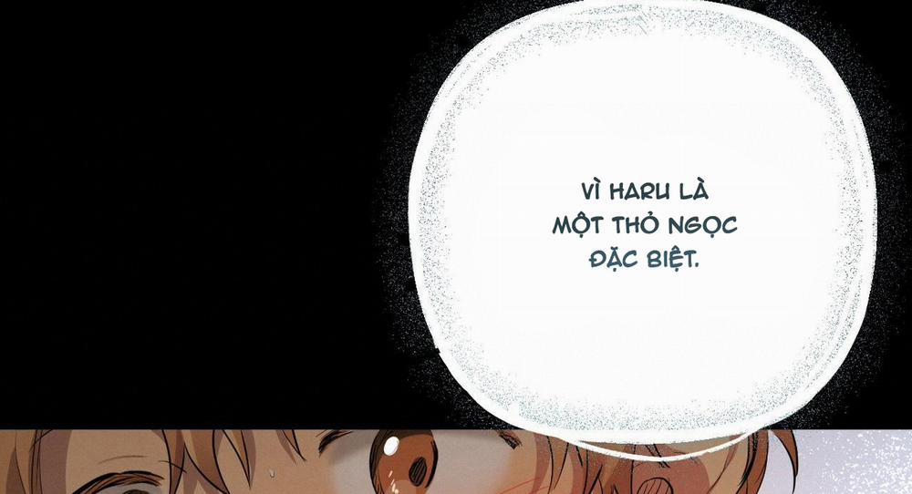 Những Chú Thỏ Của Hapypy 27 trang 103