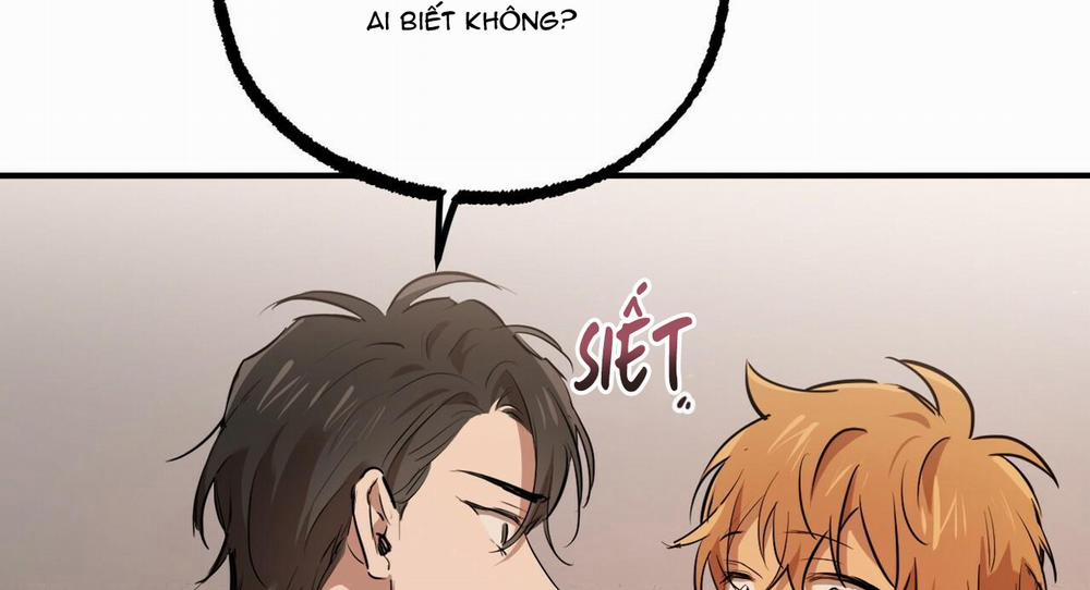 Những Chú Thỏ Của Hapypy 27 trang 131