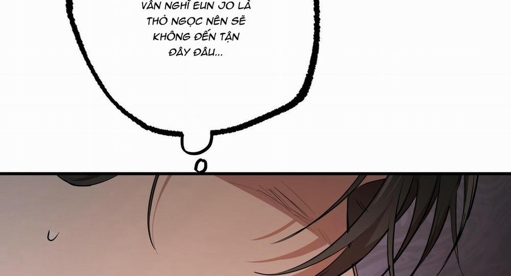 Những Chú Thỏ Của Hapypy 27 trang 146