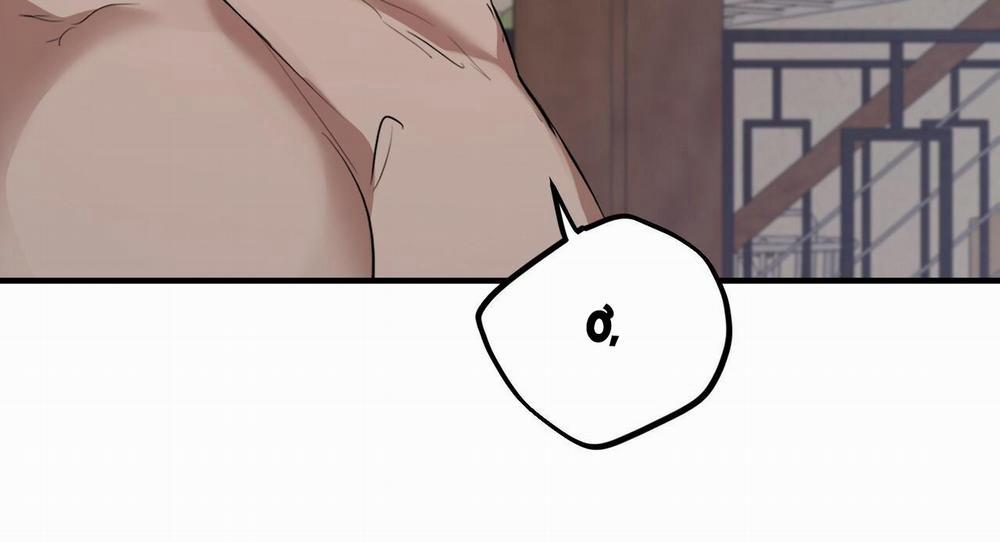 Những Chú Thỏ Của Hapypy 27 trang 153