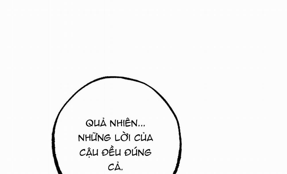 Những Chú Thỏ Của Hapypy 27 trang 167