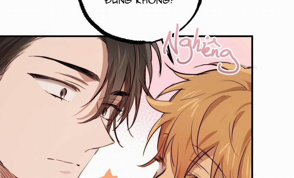 Những Chú Thỏ Của Hapypy 27 trang 173