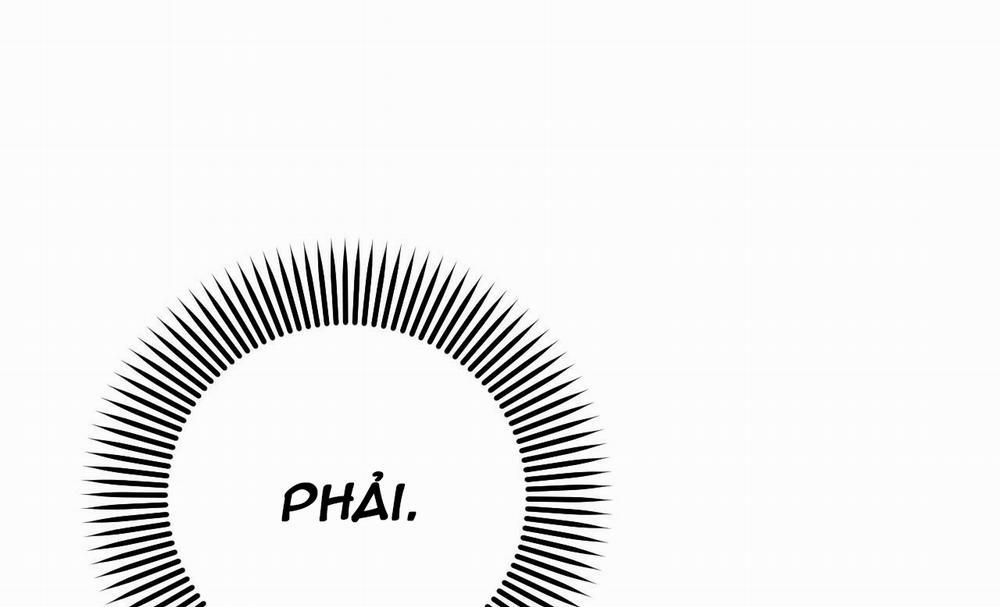 Những Chú Thỏ Của Hapypy 27 trang 176