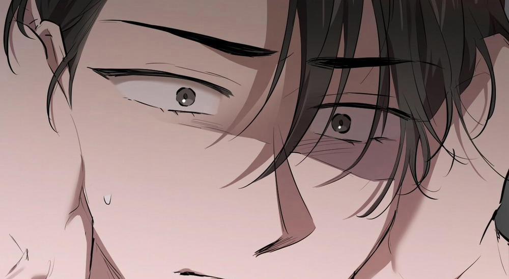 Những Chú Thỏ Của Hapypy 27 trang 21