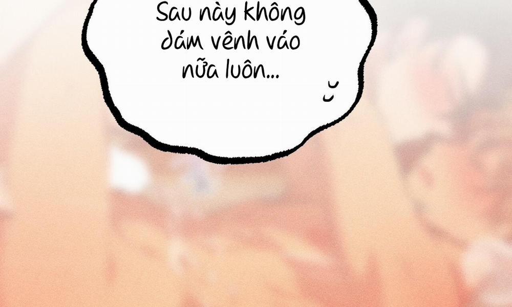 Những Chú Thỏ Của Hapypy 27 trang 212