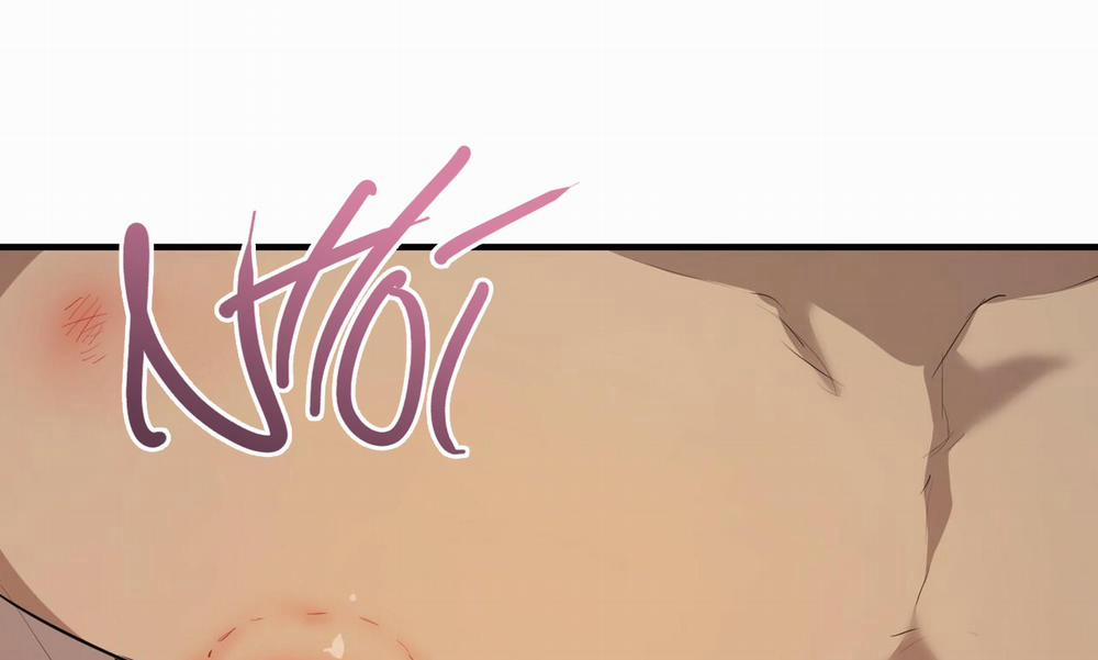 Những Chú Thỏ Của Hapypy 27 trang 221