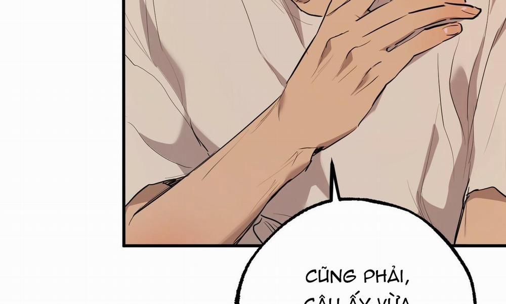 Những Chú Thỏ Của Hapypy 27 trang 226