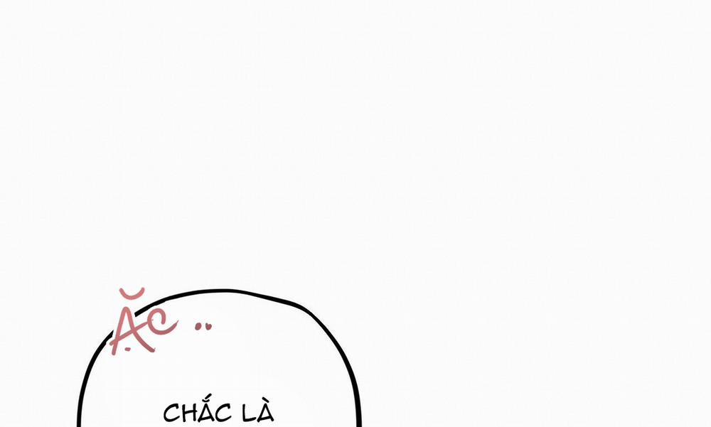 Những Chú Thỏ Của Hapypy 27 trang 234