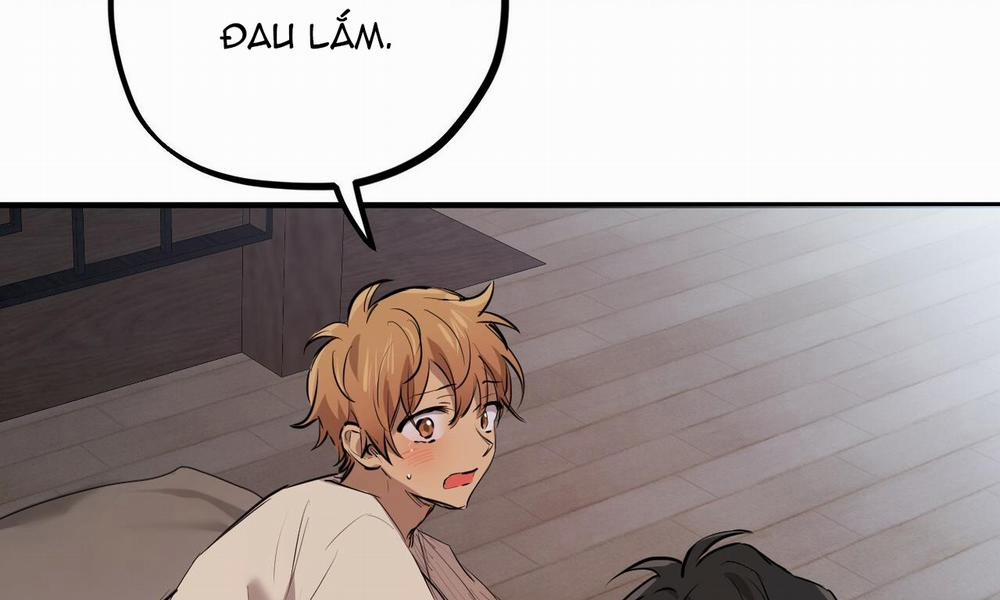 Những Chú Thỏ Của Hapypy 27 trang 235