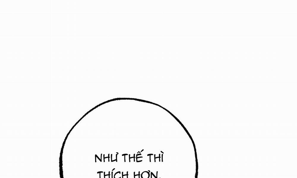 Những Chú Thỏ Của Hapypy 27 trang 241