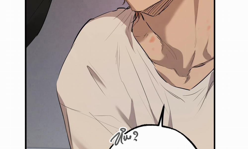 Những Chú Thỏ Của Hapypy 27 trang 244