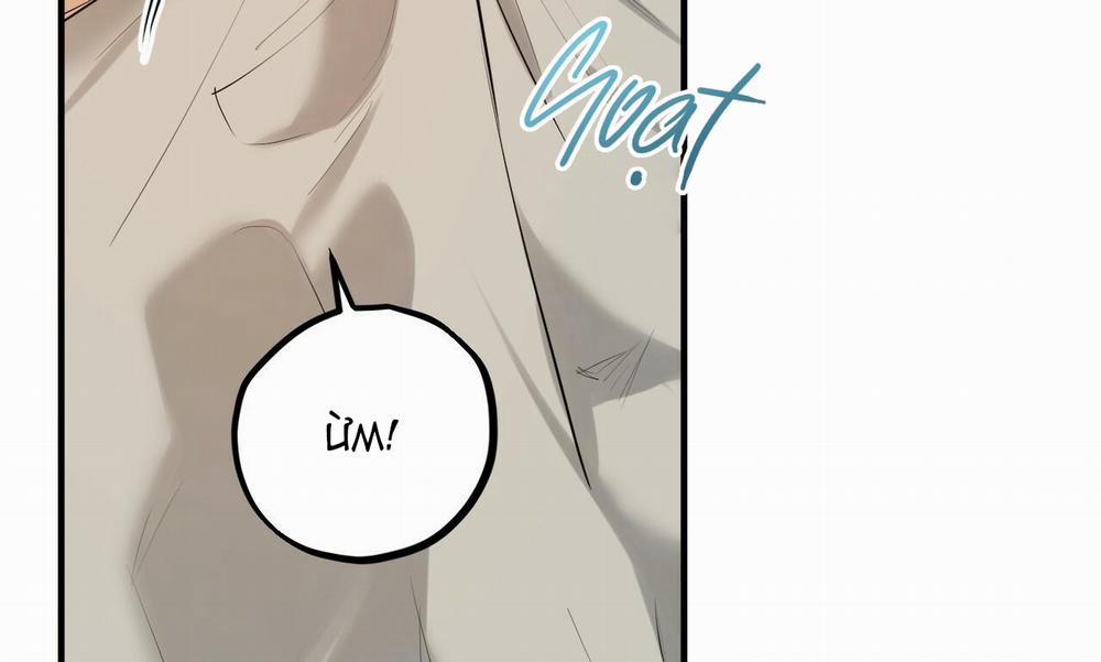 Những Chú Thỏ Của Hapypy 27 trang 251