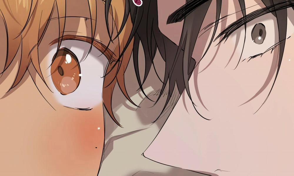 Những Chú Thỏ Của Hapypy 27 trang 263