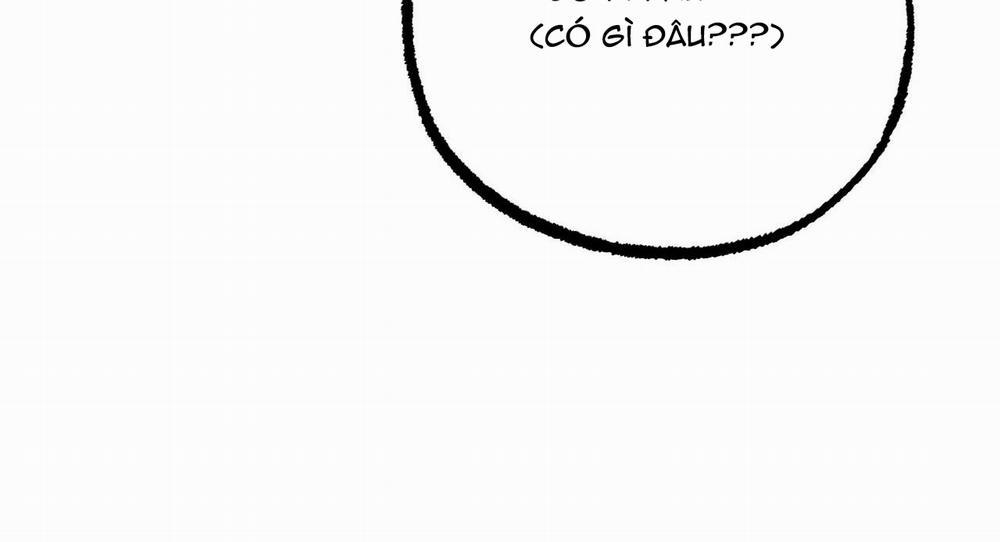 Những Chú Thỏ Của Hapypy 27 trang 45