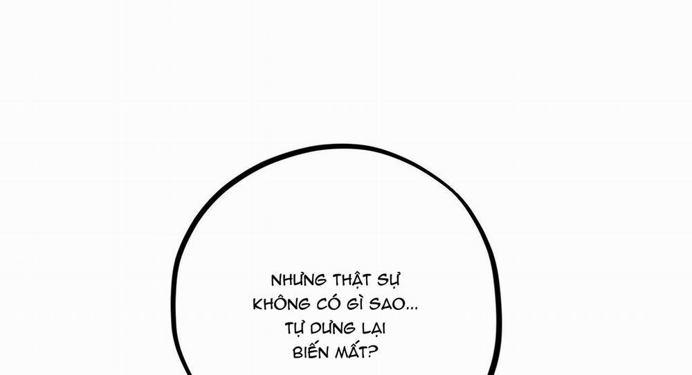 Những Chú Thỏ Của Hapypy 27 trang 55