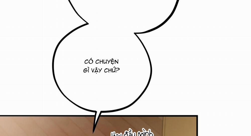 Những Chú Thỏ Của Hapypy 27 trang 56