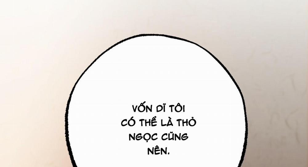 Những Chú Thỏ Của Hapypy 27 trang 64