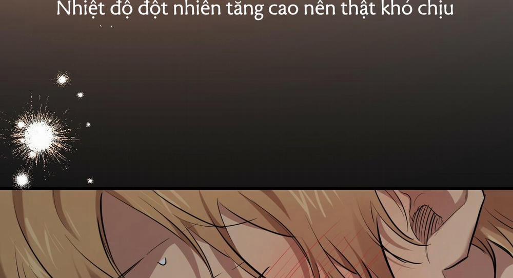 Những Chú Thỏ Của Hapypy 27 trang 75