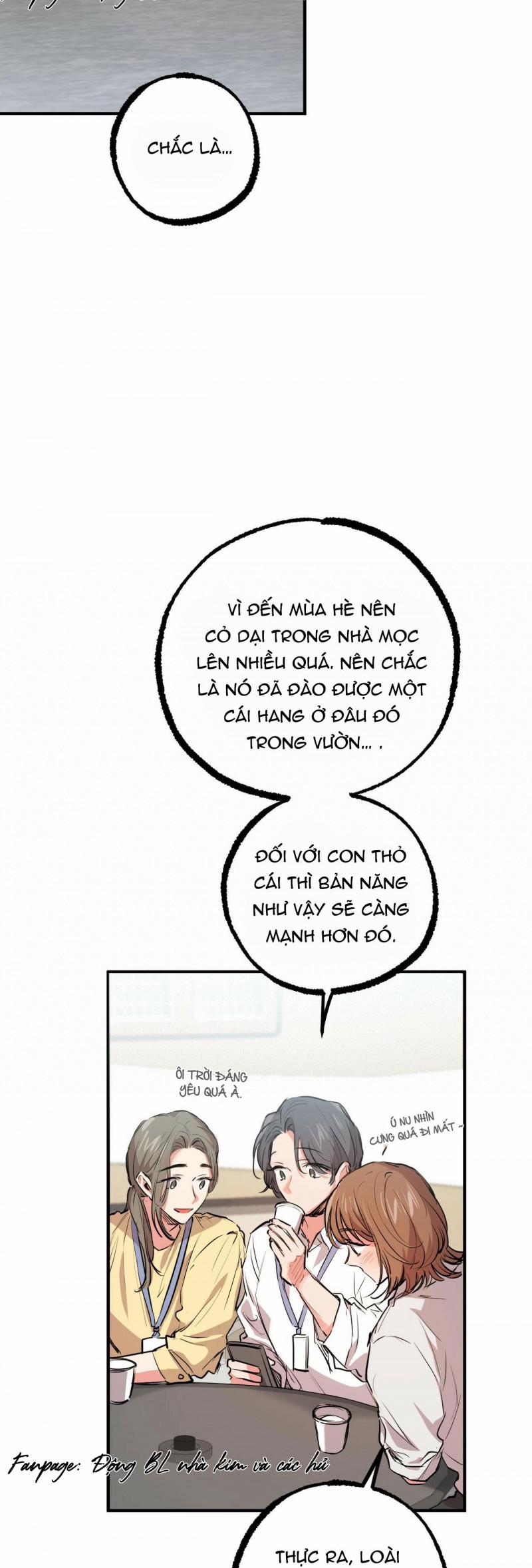 Những Chú Thỏ Của Hapypy 28 trang 12