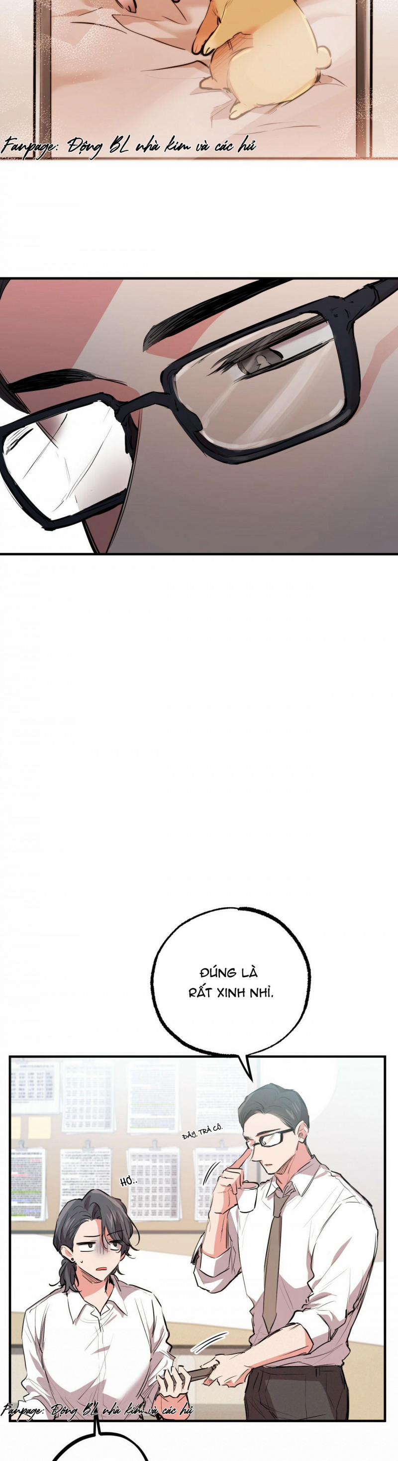 Những Chú Thỏ Của Hapypy 28 trang 18