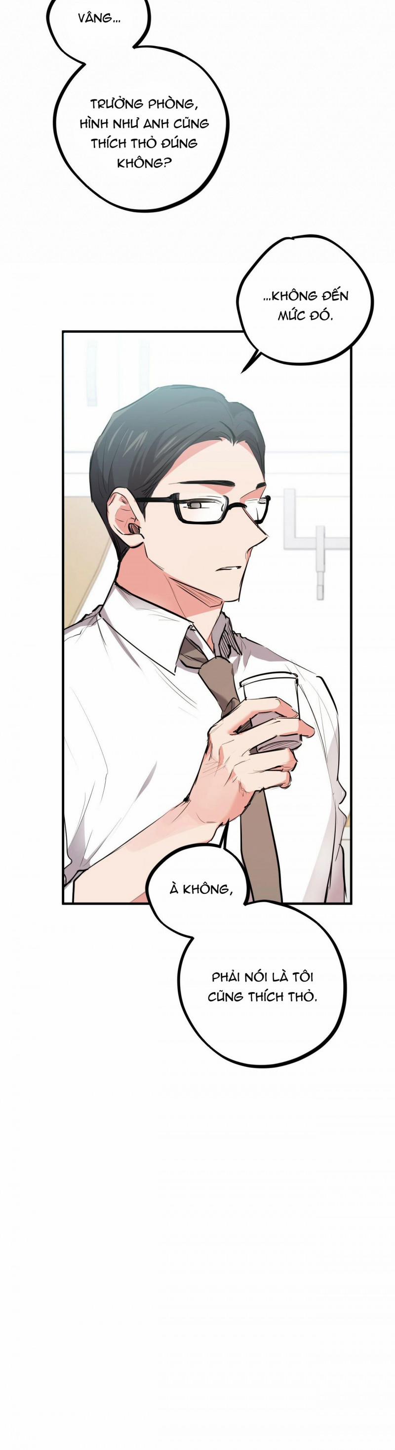 Những Chú Thỏ Của Hapypy 28 trang 19