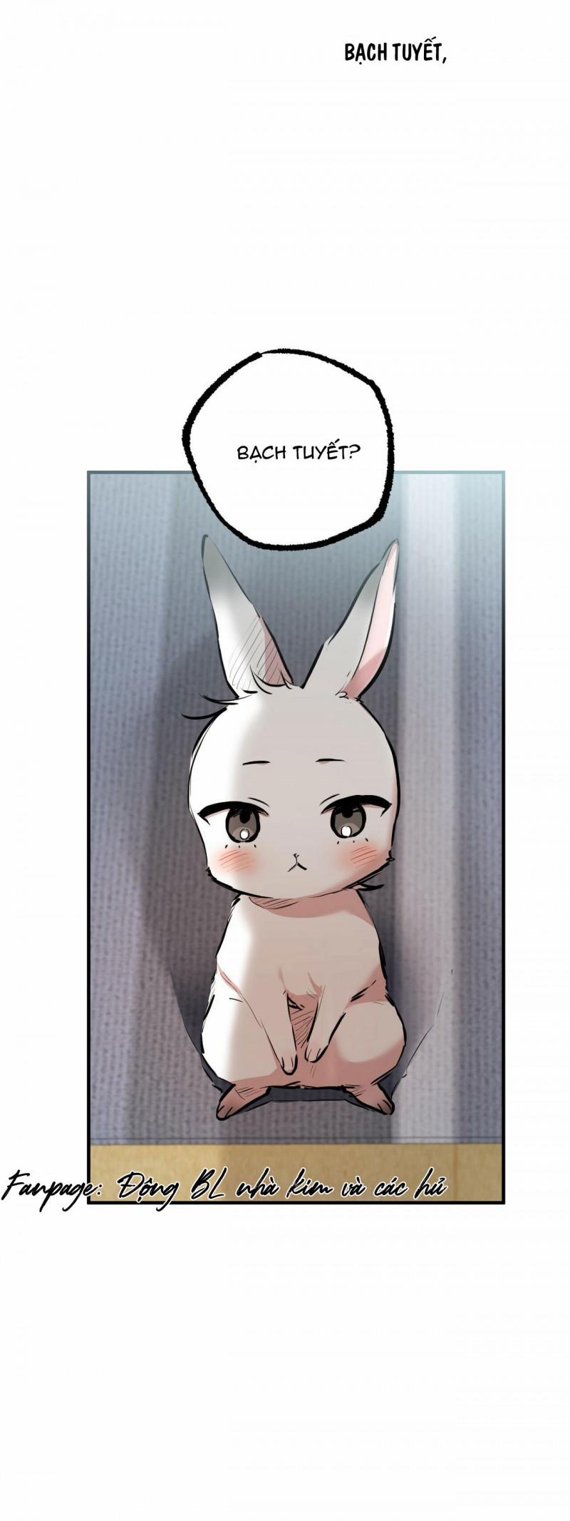 Những Chú Thỏ Của Hapypy 28 trang 3