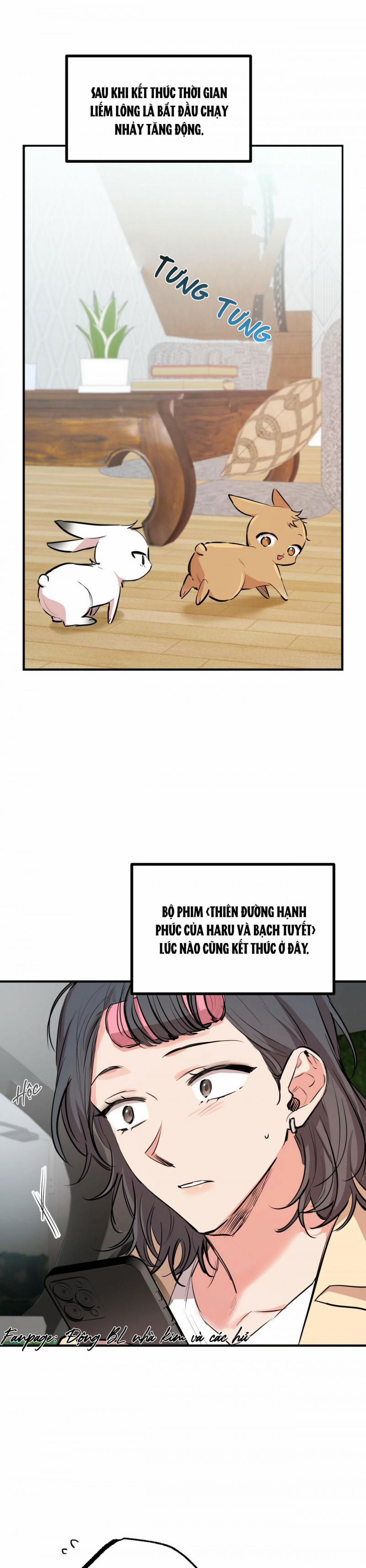 Những Chú Thỏ Của Hapypy 28 trang 30