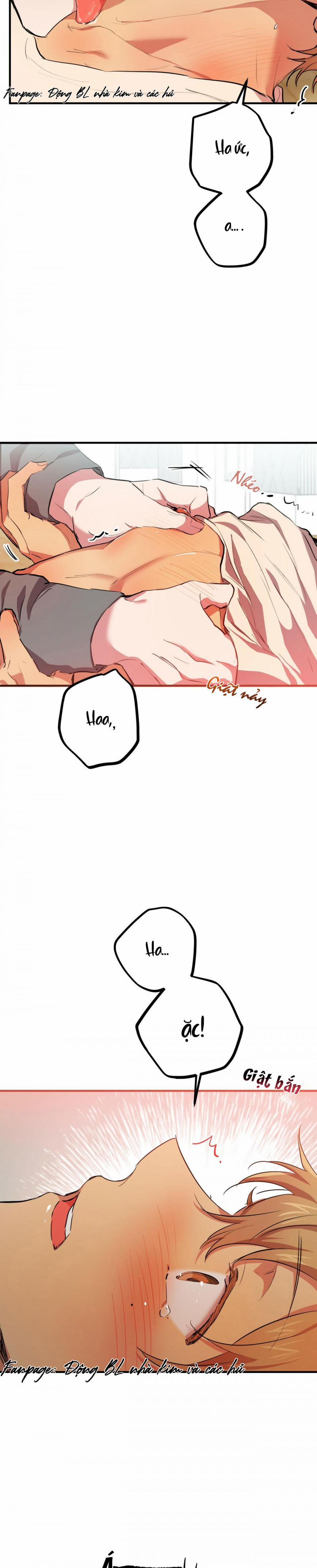 Những Chú Thỏ Của Hapypy 28 trang 36