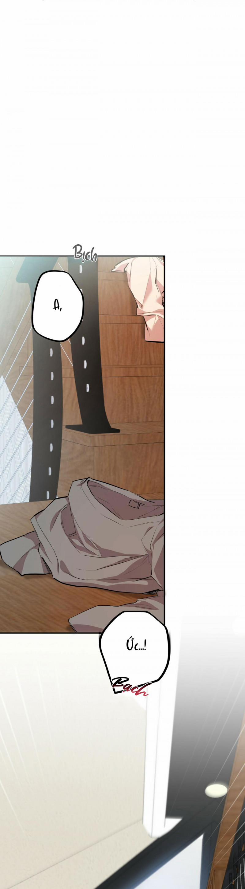 Những Chú Thỏ Của Hapypy 28 trang 44