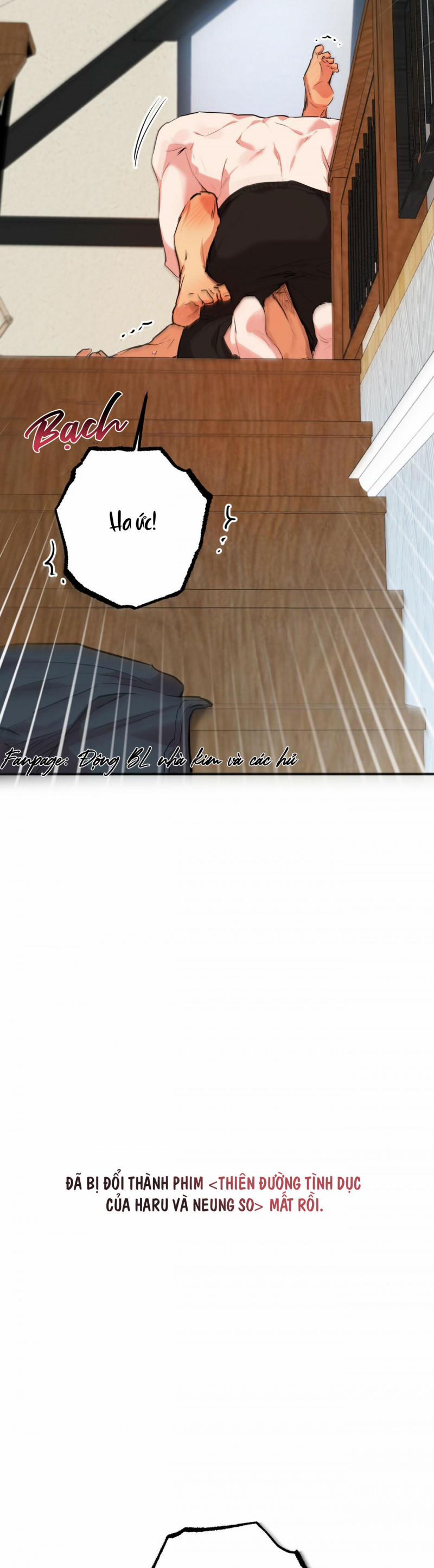 Những Chú Thỏ Của Hapypy 28 trang 45