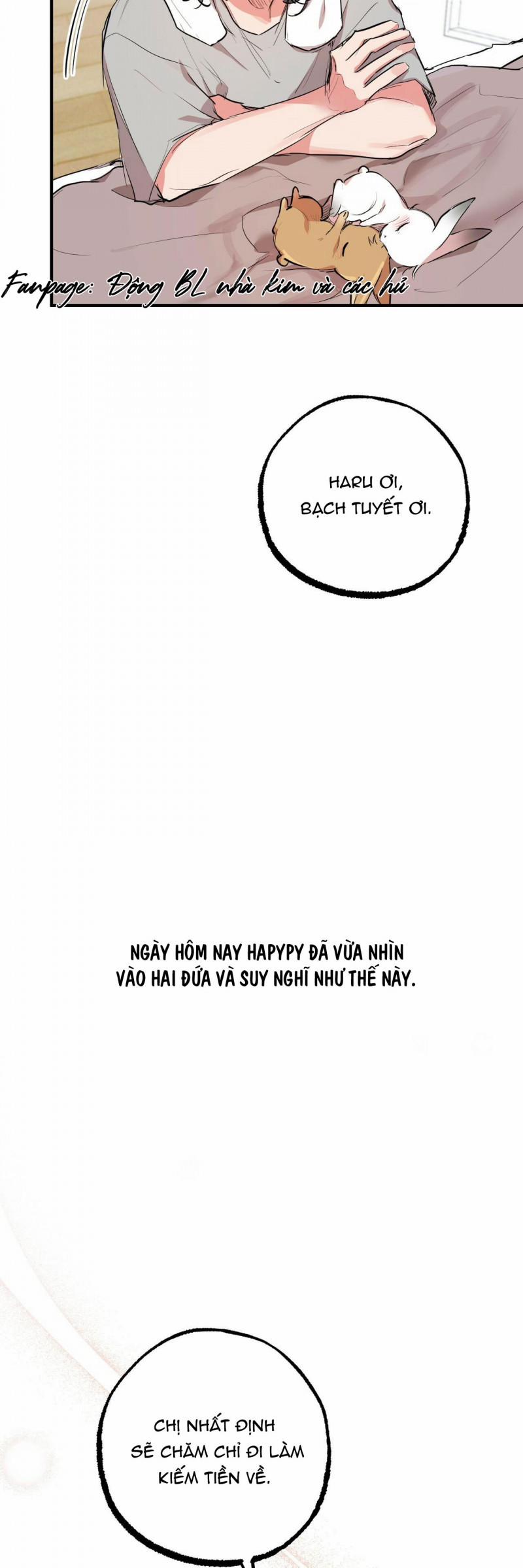 Những Chú Thỏ Của Hapypy 28 trang 9