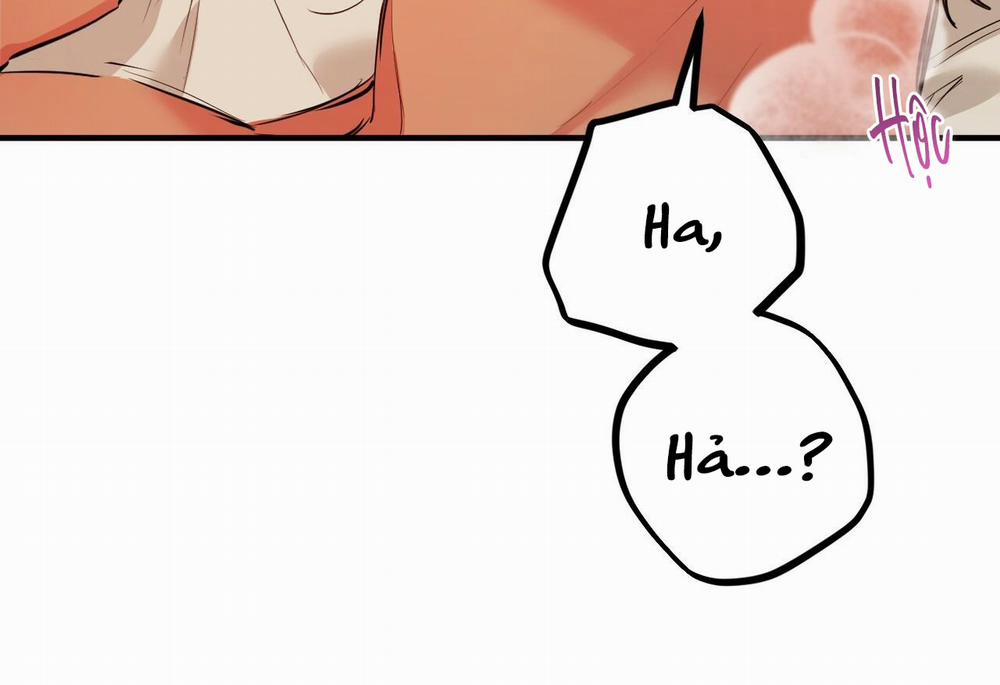 Những Chú Thỏ Của Hapypy 29 trang 107