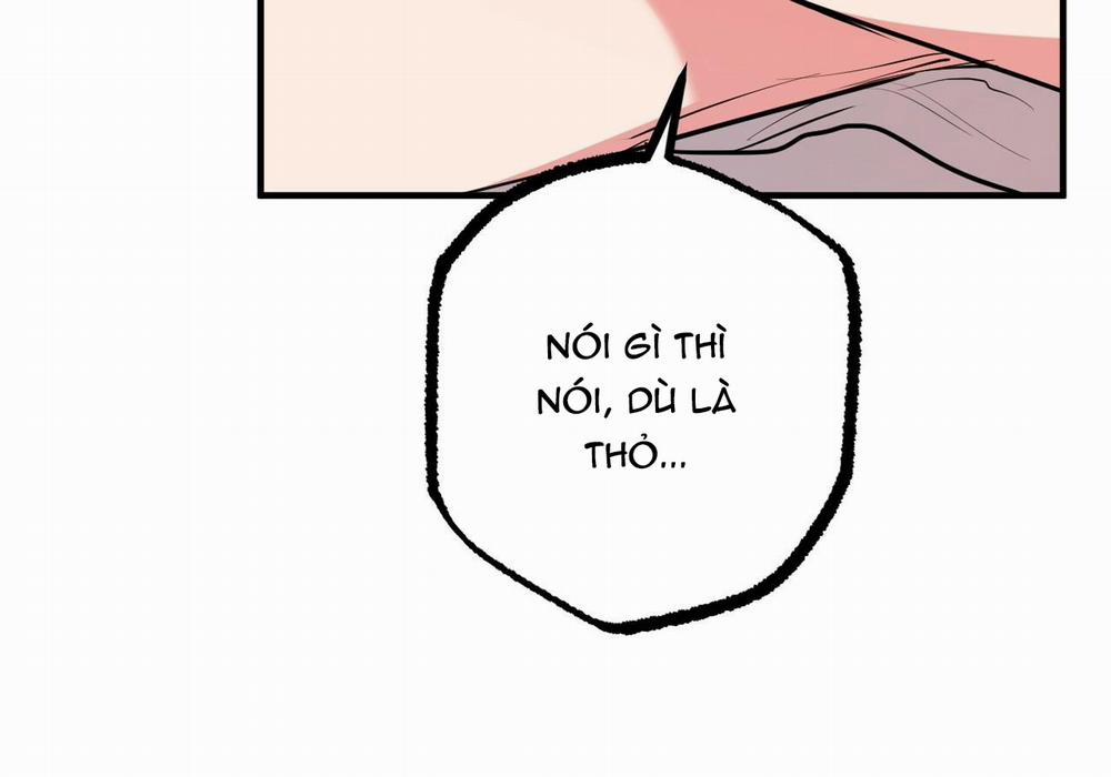 Những Chú Thỏ Của Hapypy 29 trang 11