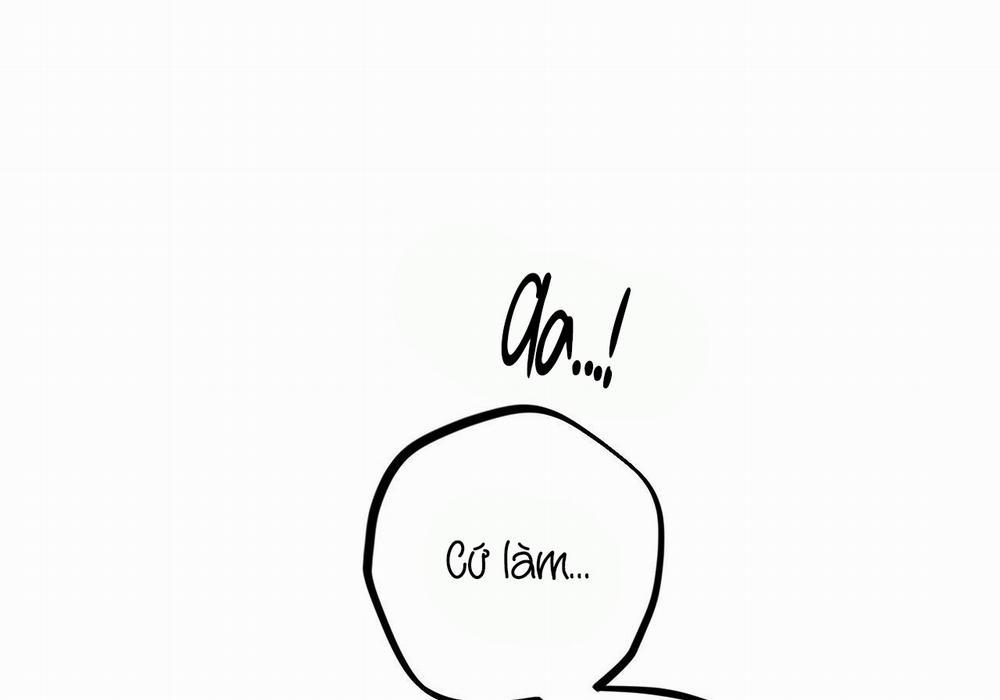 Những Chú Thỏ Của Hapypy 29 trang 131