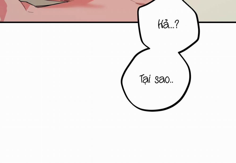 Những Chú Thỏ Của Hapypy 29 trang 141