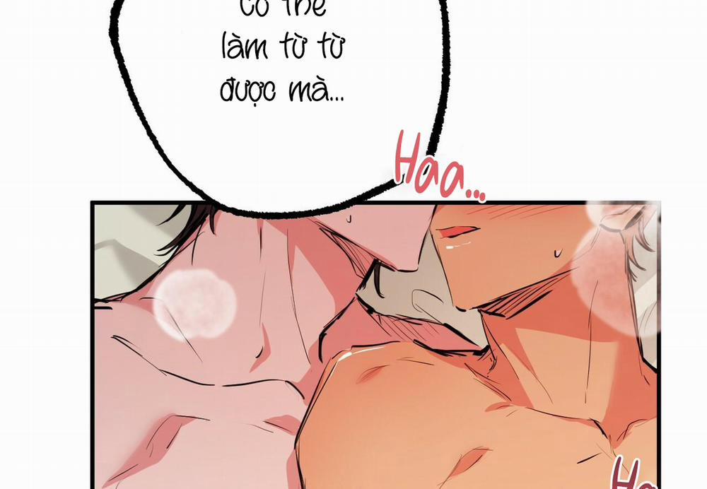 Những Chú Thỏ Của Hapypy 29 trang 143