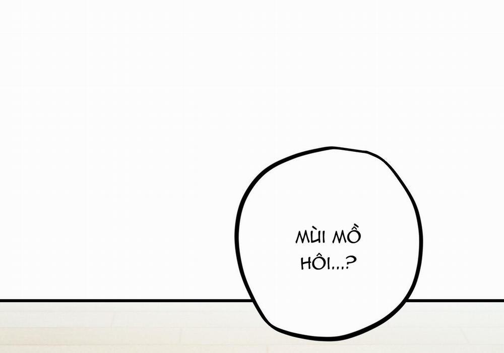 Những Chú Thỏ Của Hapypy 29 trang 195