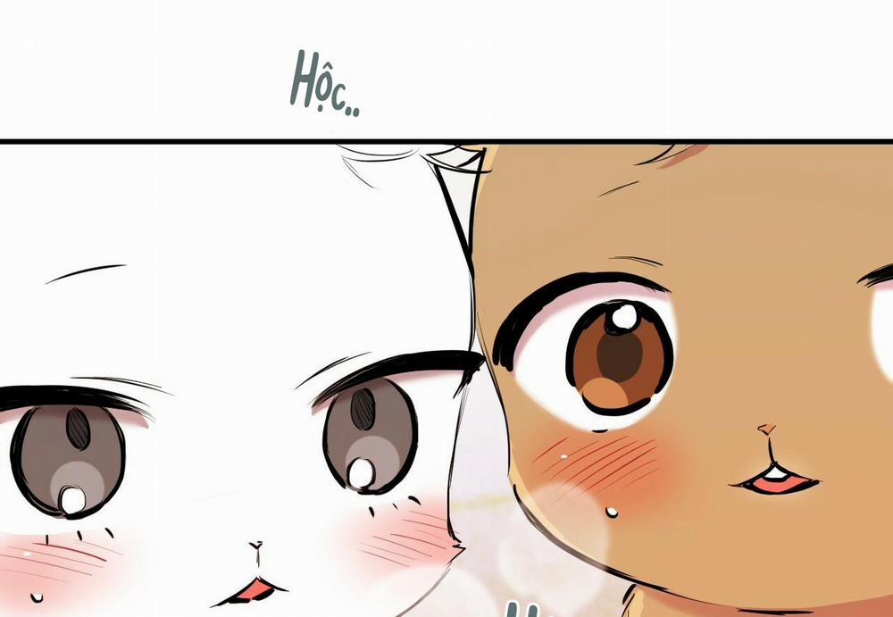 Những Chú Thỏ Của Hapypy 29 trang 216