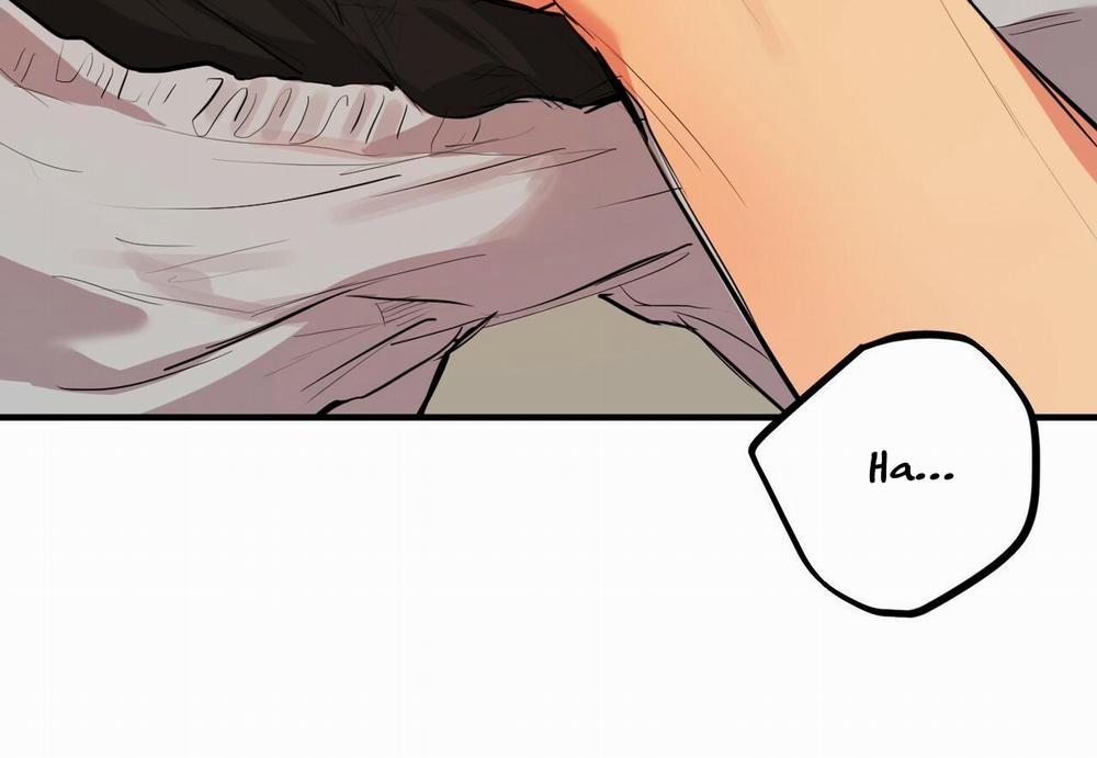 Những Chú Thỏ Của Hapypy 29 trang 44