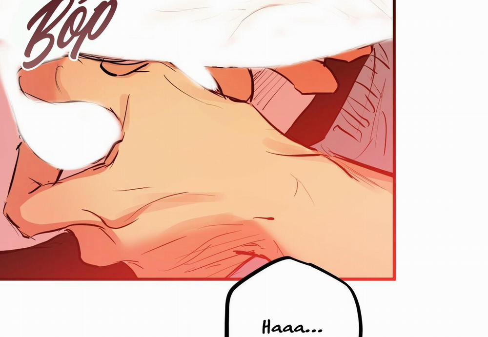 Những Chú Thỏ Của Hapypy 29 trang 50