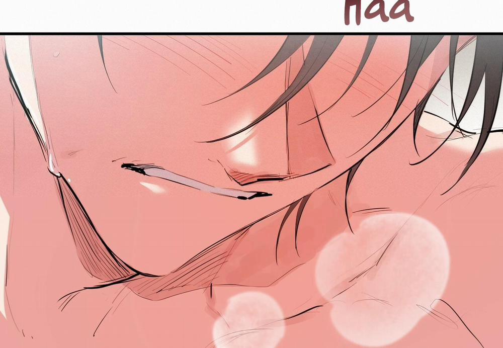 Những Chú Thỏ Của Hapypy 29 trang 52