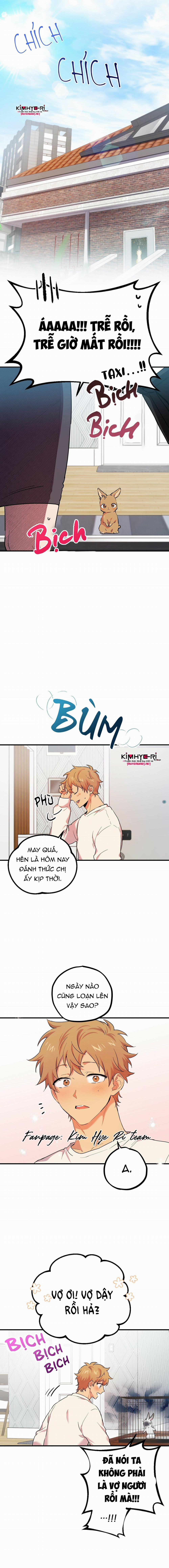 Những Chú Thỏ Của Hapypy 3 trang 0