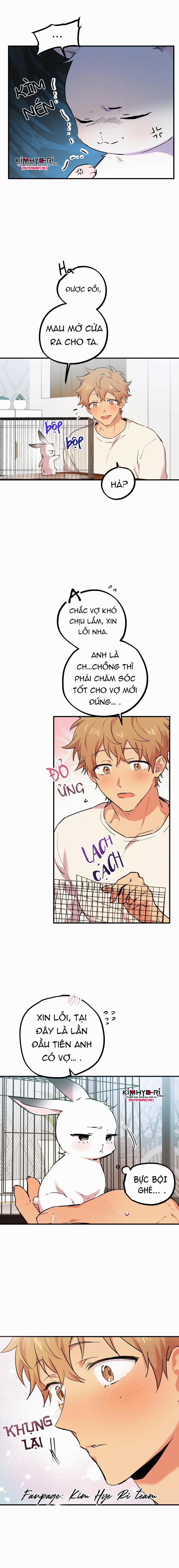 Những Chú Thỏ Của Hapypy 3 trang 1