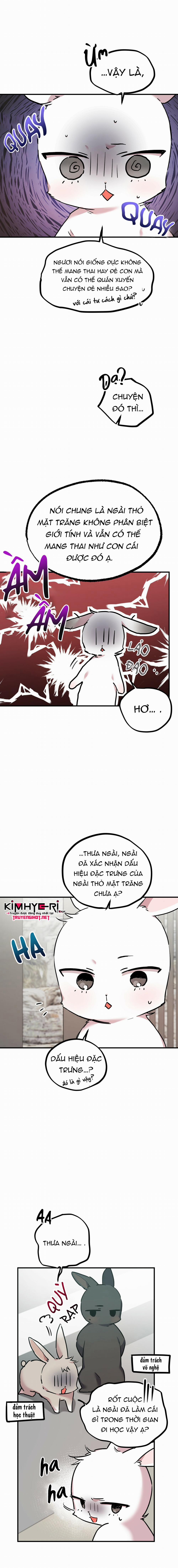 Những Chú Thỏ Của Hapypy 3 trang 12