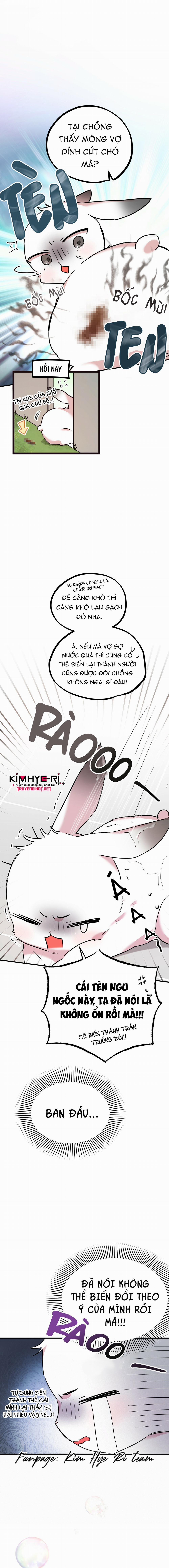 Những Chú Thỏ Của Hapypy 3 trang 18