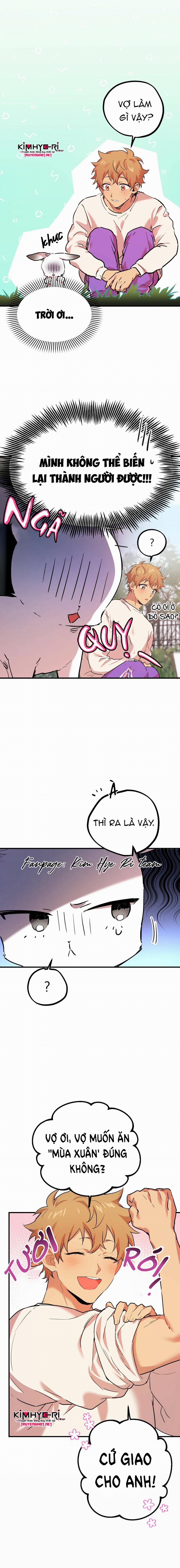 Những Chú Thỏ Của Hapypy 3 trang 6