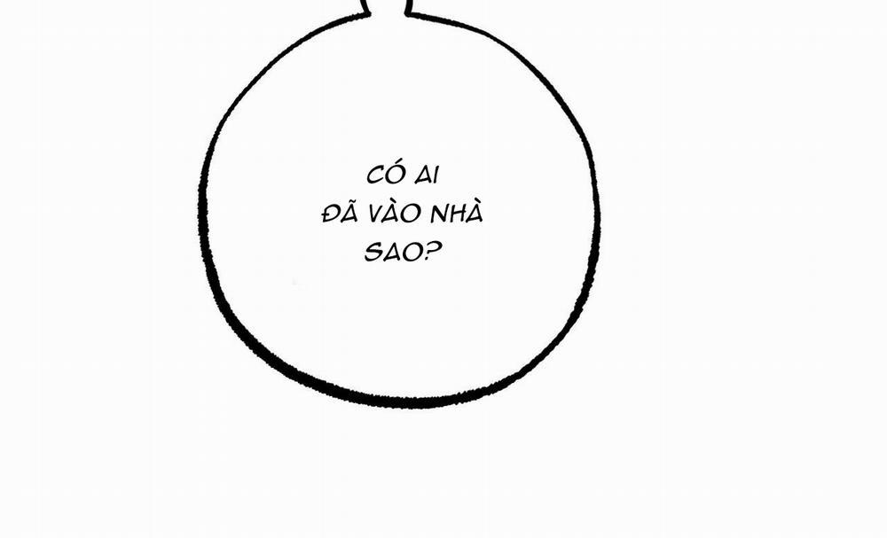 Những Chú Thỏ Của Hapypy 30 trang 11