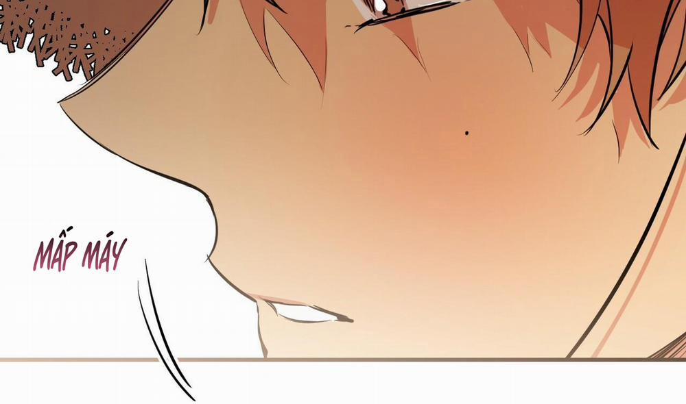 Những Chú Thỏ Của Hapypy 30 trang 178