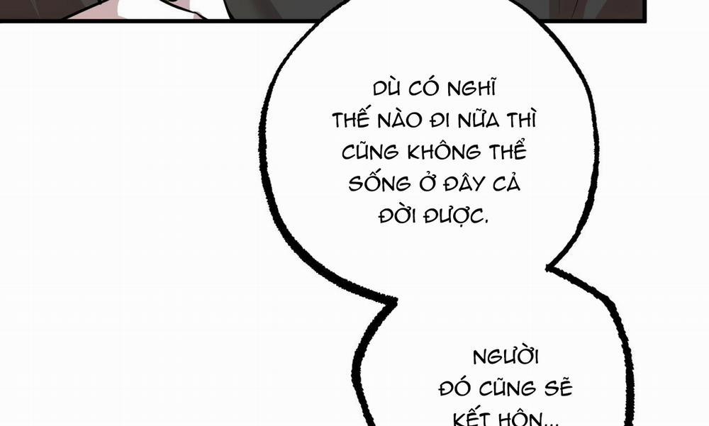 Những Chú Thỏ Của Hapypy 30 trang 204