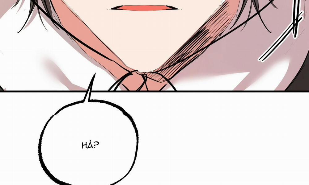 Những Chú Thỏ Của Hapypy 30 trang 207